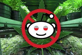 Music is amazing, food delicious, jokes hilarious, colors rich, and so on. The Reddit Support Group For People Who Quit Smoking Weed By John Mcdermott Mel Magazine Medium