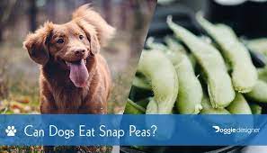 Can Dogs Eat Sugar Snap Peas Are Snap Peas Safe For Dogs Hepper