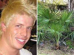 Police Confirm Remains Found Under Palm Tree Are Matthew Leveson