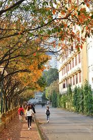 Đại học thái nguyên phát huy thế mạnh đại học vùng, tạo nguồn lực mạnh mẽ về đào tạo, nghiên cứu khoa học, chuyển giao công nghệ sôi nổi các hoạt động trước đêm chung kết cuộc thi hùng biện tiếng việt cho lhs lào tại việt nam 2019 Con Ä'Æ°á»ng La Vang Ä'áº¹p Ngáº¥t Ngay Táº¡i Ä'h SÆ° Pháº¡m Ha Ná»™i