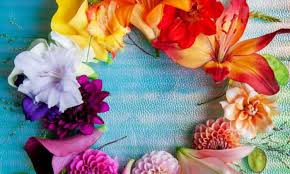 Maybe you would like to learn more about one of these? Tripudio Di Colori Con I Fiori Estivi Orto Weblog