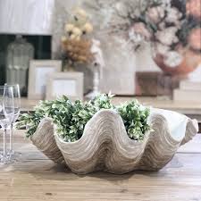 Large sea shell can be used as a planter, decorative bowl, placed on a mantle, and makes a great conversation piece. Clam Bowl Large Humble Home