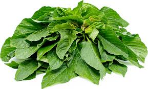 Tete/Green Leaf