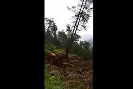 Check spelling or type a new query. Babat Pohon Hutan Lawu Alat Berat Dan Operator Ditangkap Polres Karanganyar