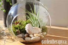 Delicate Terrarium Diy Garden Decor Hanging Glass Terrarium