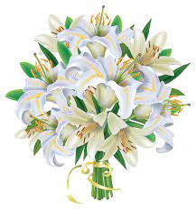 White Lilies Flowers Bouquet Png Clipart Image White Lily Flower Flower Art Painting Flower Drawing
