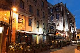 poplar lane christchurch nz 2009 sorry i have lost the original credits for these images christchurch poplar new zealand