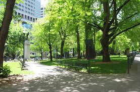 Check spelling or type a new query. Help The City Of Detroit Find Great Tree Planting Locations Detroit Book Fest