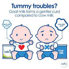 Pin On Kabrita Goat Milk Formula