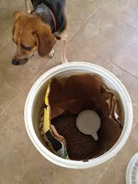 Drugs used in chemotherapy can alter the sense of smell or taste, which leads to a decrease in interest in food. All About Dog Vomit Why Is My Dog Throwing Up Pethelpful