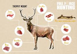 full force australian hunting blog how to skin a deer venison