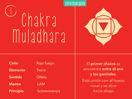 Infografias El Primer Chakra Chakra Muladhara O Chakra Raiz Chakra Chakra Raiz Elementos