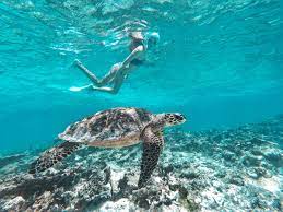 Sylaviia On I N S T A G R A M Snorkeling Dream Vacations Snorkelling