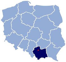 Véase las contribuciones de esta página. Cracovia Vicipaedia