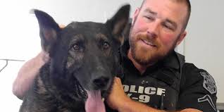 When His K9 Was Attacked, This Cop Knew What He Had To Do