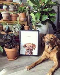 Our family wanted to remember our beloved dog, whom we recently had to put down. The Best Custom Pet Portraits And Paintings Hgtv
