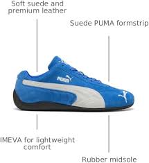 Image result for State Blue 2002 Puma