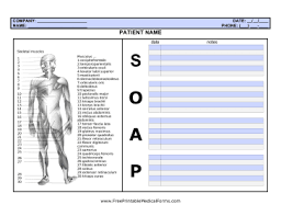 How To Write Medical Chart Notes Maus Essay Guilt