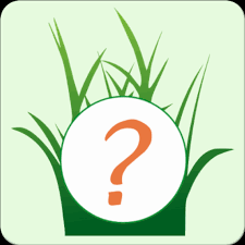 Trick your device to install unauthorized apps. Quest Helper Go Go Rocket Apk For Android Apksan