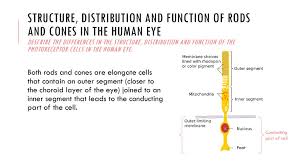 Maybe you would like to learn more about one of these? Communication Chapter 4 Ppt Download