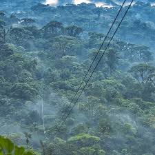 A Nearly 1 Km Long Zipline Over The Jungle At Rainforestadventurescr With Incredible Views Of The Rainforest A Volca Ziplining White Water Rafting Rainforest