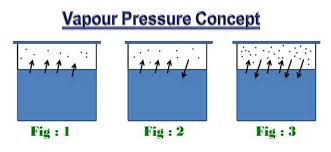 vapour pressure of water sugar industry technology news