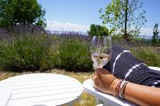 Rosé Revolution at Owen Roe Estate in Wapato