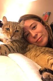 Has anyone seen our lost cat in Colorado?