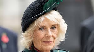 Queen Consort Camilla opens up about adopted family members