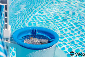 Untuk kenyamanan pengunjung, mereka juga memberikan 1 takaran betadine ke dalam air kolam. 7 Cara Merawat Kolam Renang Agar Terbebas Dari Lumut