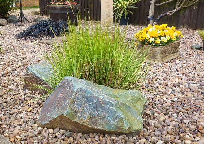 Rock garden