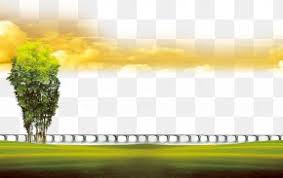 Download the perfect background images. Blur Background Images Blur Background Transparent Png Free Download
