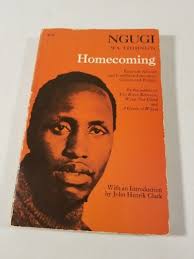 Ngugi Wa Thiong'o HOMECOMING 1973 Edition SCARCE African Writer's Series  (AWS)