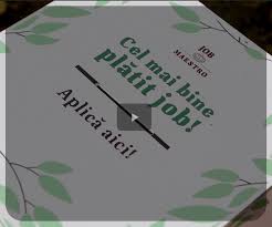 Cele mai bine platite meserii in contabilitate si asigurari. H1 Artisans Caroli Foods Group