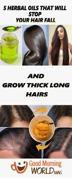 Stop hair loss now by hair thickness maximizer. Herbal Oils That Will Stop Your Hair Fall Grow Thick Long Hair Vitamins For Hair Growth Best Hair Oil