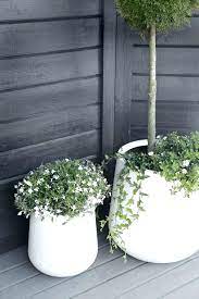 20 Ideas For White Outdoor Planters Tuin Ideeen Tuin Tuin Inspiratie