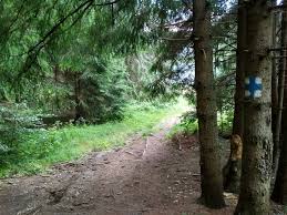 Lacul își completează apele numai din precipitații, neavând izvoare. Sat Carpitus Lacul Sfanta Ana Cabana Lacul Sfanta Ana Muntii Nostri