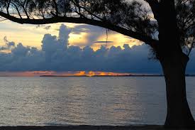 Image result for Sandy Beach Brown 2011 Captiva