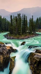 720x1280 Green Forest Water Flow Waterfall Nature Wallpaper Thanksgiving Games For Kids Fun Thanksgiving Games Thanksgiving Games For Adults