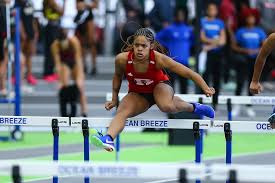 Image result for Brya