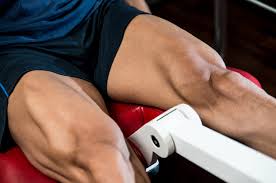 Rectus Femoris Strains Ruptures The Science