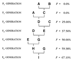 If there is a tendency to infertility in any of the animals used, then inbreeding can accentuate it, although inbreeding itself will not cause it. Inbreeding Archive Chicken Breeds Chart Genetics Coloring Eggs