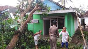 Inilah salah satu kesempatan untuk bekerja di instansi pemerintah di lingkup pemerintah provinsi dki jakarta. Angin Kembali Menumbangkan Pepohonan Di Kabupaten Jember Kali Ini Giliran Ambulu Surya