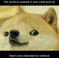 This rule has been expanded to cover 'forced' doge posts that feature the original 'doge' image, but have been modified in such a way that does not relate to the doge meme. Doge Collection Dank Memes Amino