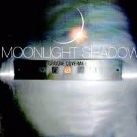 The song tells the story of a woman who loses her lover to a violent struggle in the middle of the night. Moonlight Shadow Wikipedia