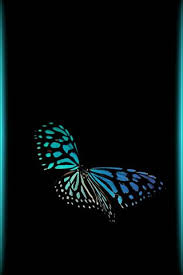 Ini cetak menyeronokkan dan ceria mampu untuk mengangkat mood. Phoneky Wallpaper Rama Rama Hitam Dan Biru Hd
