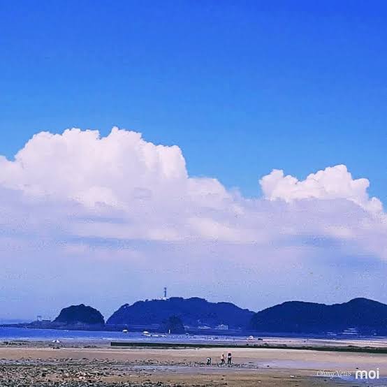 안면도 꽃지해변 사진 6