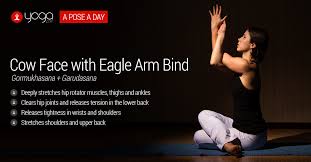 Beautiful And Rejuvenating Pose Yoga Gormukhasana Garudasana Cowface Eaglehands Yoga Babe Yoga Times Yoga Articles