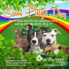 Before you head out to buy a brand new pet, we get an assortment of lizards, snakes, and other reptiles in from people who can no. You Don T Need The Luck O The Irish To Fall In Love Dog Adoption Event Animal Shelter Shirt Animal Shelter Fundraiser