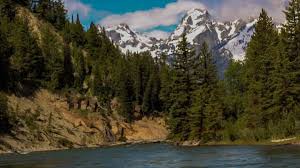 We did not find results for: Snake River Float Trips Solitude Float Trips